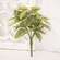 Pink Fittonia Leaves Bush, 13" T182506;