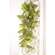 Pink Fittonia Leaves Hanging Bush, 30" T182507;