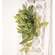 Pink Fittonia Leaves Hanging Bush, 21" T182508;