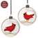 Snowy Cardinal Bulb Ornament - 2 Asstd.