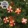 Peppermint Candy Light Strand, 10ct, 6ft 13727;
