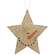 Hanging Snowman Star;