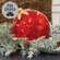 Crackled Red Glass LED Timer Bulb Ornament;
