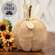 Beige Thankful Sweater Pumpkin, 5.5" Dia. JL24078;