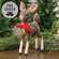 Icy Frosted Resin Baby Deer w/Bow & Jingle Bell RQ282501 ;