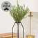 Baby Boxwood Bush, 16"H SA112579;