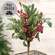 Shimmering Holly Pine & Berries Bush, 17" SA112601;