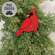 Layered Wooden Left Facing Cardinal Plant Poke, 14"H SA112611;