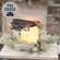 Snowy Bristle Pine & Boughs Candle Ring, 6.5" SH262504;