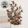 Gleaming Bronze Fittonia Spray, 27" SA112574;