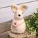 Standing Sherpa Bunny w/Pink Flowers SHN5489;