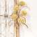 Cream Allium Spray, 24"H SA112580;