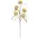 Cream Allium Spray, 24"H SA112580;