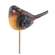 Resin Robin Pick - 4 asst.