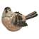 Brown Bird - 2 asst.