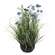 Potted Blue Cosmos w/ Onion Grass & Butterflies 18444;