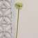 White Allium Ball Spray - 19" 18454;