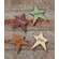 Star Magnet with Words - 4/bag