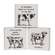 Udderly Ridiculous Square Block, 3 Asstd. 38225;