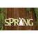 Green Spring & Bunny Cutout Wood Hanger