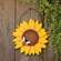 Layered Wood Sunflower & Bee Hanger