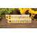 Sunflower Gingham Mini Stick - 2 Asstd.