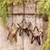 Hanging Tealight Metal Stars, 3 Asstd.