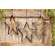 Whimsical Hanging Stars - Large - 3 Asst.