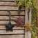 Cutout Star Ornaments - 3.25";