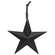 Hanging Metal Star - 8" Assorted