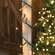 Twinkle Lights - Super Bright Teeny Bulbs - Green Cord
