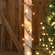 Non-Twinkle Mini Lights - 35 Ct.