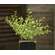 Baby Grass Pick - Light Green