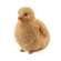 Resin Chicks - 4 asst.