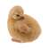 Resin Chicks - 4 asst.