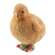 Resin Chicks - 4 asst.