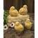 Resin Chicks - 4 asst.