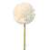 Pompom Stem, White -