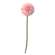 Pompom Stem, Blush -