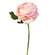 Peony Stem, Blush -