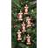 Dog Treat Christmas Ornaments - 6 Asst -