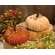 Mini Chenille Pumpkin - 2 asst.