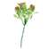 Coral Buds Succulent Bush, 8"