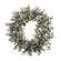 Pebble Eucalyptus Bush, 14"