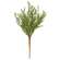 Baby Boxwood Bush, 16"H SA112579;