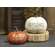 Happy Harvest Pumpkin