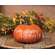 Happy Harvest Pumpkin