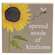 Let It Bee Square Block, 3 Asstd.