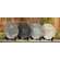 Sentiment Floral Plate, 4 Asstd.