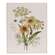 Find Me Where the Wild Flowers Grow Wooden Bees & Flowers Sign 38229;